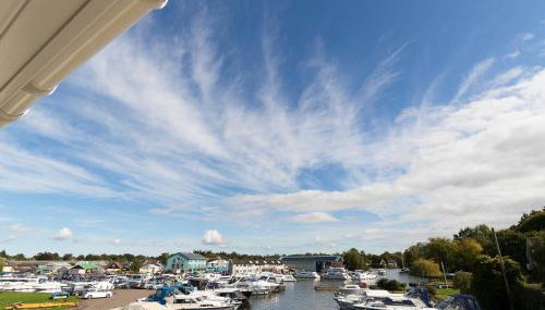 Greylag Goose - Ukc2110 - Foto 1