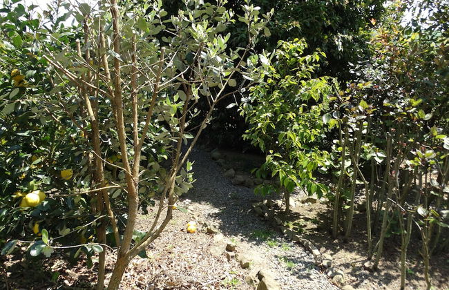 Kauri Lodge Karapiro - Foto 29