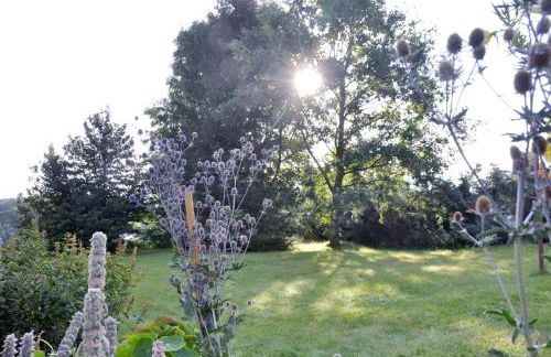 Ferienwohnung Blaumeise - Foto 17