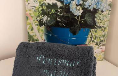 Penismar Magic - Photo 43