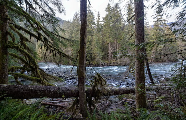 68SW - Fireplace - Washer/Dryer - Dishwasher- Sleeps 4 - Foto 12