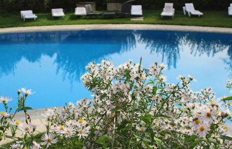 Aparthotel Quinta do Crestelo - Foto 54