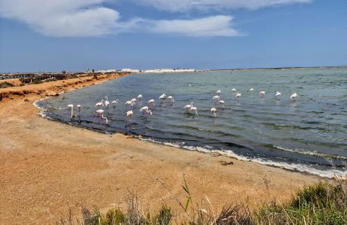 Apartment San Pedro - Foto 29