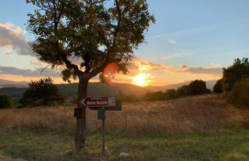 Al Podere del Nonno Romolo - Photo 50