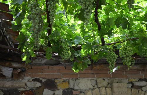 Agriturismo Il Melograno - Foto 49