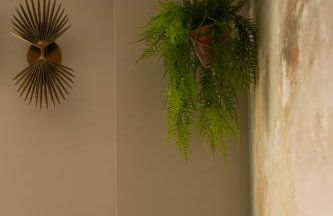 Akasha Spa Retreat Cottage - Foto 13