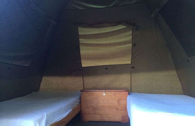 Coral Divers - Foto 5