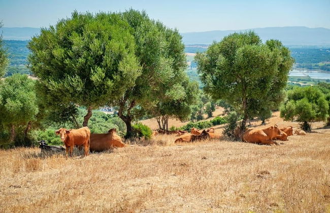 La Casa del Torero - Foto 30