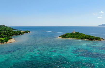 Far alcanada - Foto 10