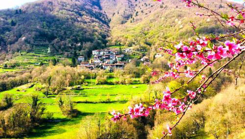 Casa Sittaro - Foto 2