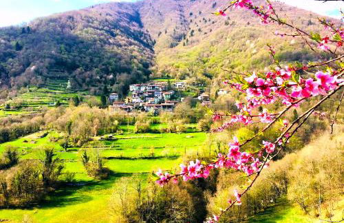 Casa Sittaro - Foto 2