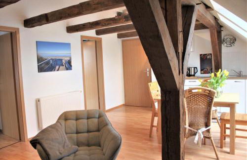 Sturmvogel - Photo 3