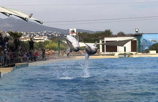 Dina's House - Foto 48