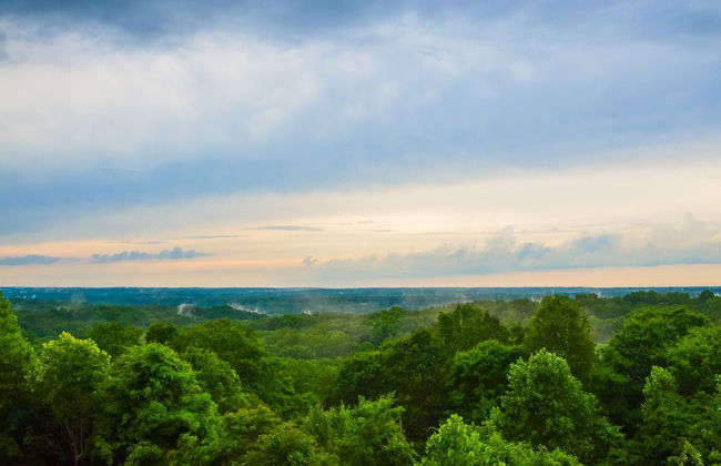 Treetop Retreat - Foto 49