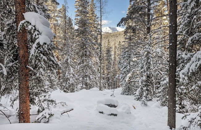 Lichen Huts - Foto 17