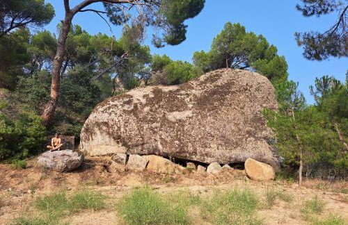 Tu Casita en el Pantano de San Juan - Foto 26