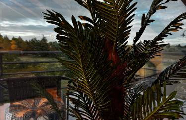 Sofita La Vita - Foto 31