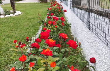 Cara Pace in collina per gruppi - Foto 14