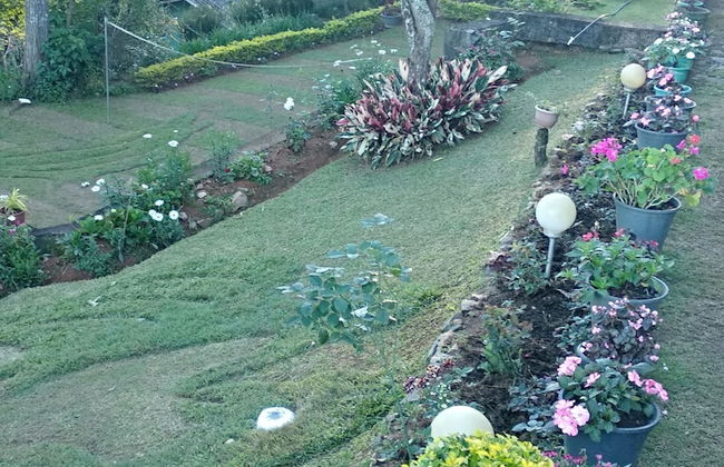 Windsor Forest Bungalow - Photo 25