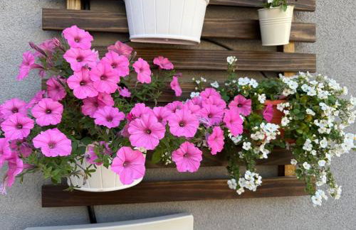 Cute Studio with AC and Backyard - Foto 7