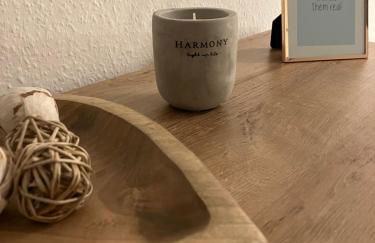 FEWO-Wölkchen mit Ausblick & Komfort über den Dächern von Weißenfels - Foto 12