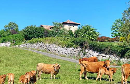 Finca La Torre con piscina - Foto 42