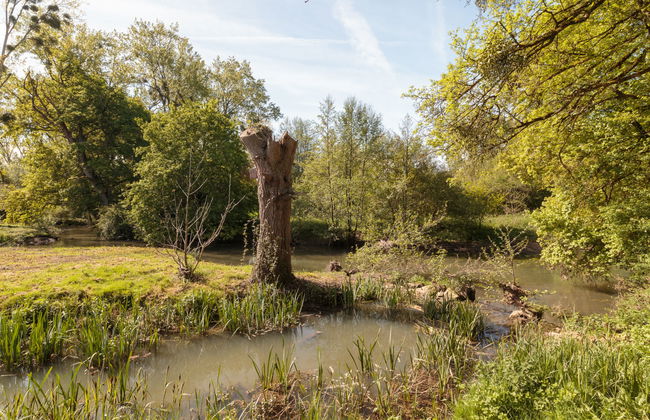Moulin De Mois - Foto 56