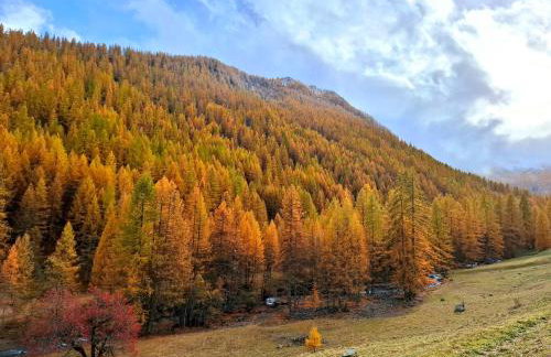 Appart 6 pers à 1800m, vue superbe, ski aux pieds - Foto 19