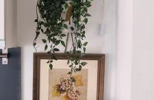 Lakeview Casa Camelia 21 - Foto 16