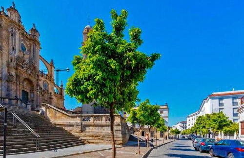 La Torre de la Catedral - Ole Solutions - Foto 14