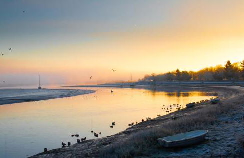 4 Bed Home In Central Maldon - Foto 29