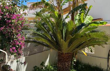 MET Oliva Nova Playa chalet grande con jardín MET a 5 minutos y a 3 de la playa - Foto 49