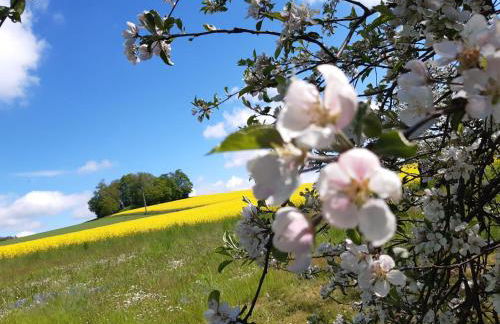 Apartment Jutta by Interhome - Foto 15