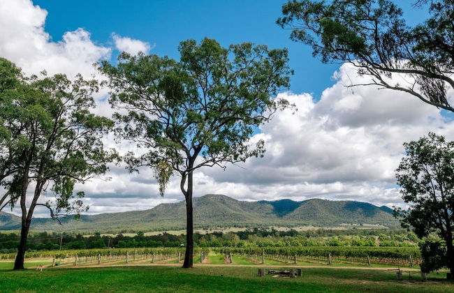 Winmark Wines - Foto 37