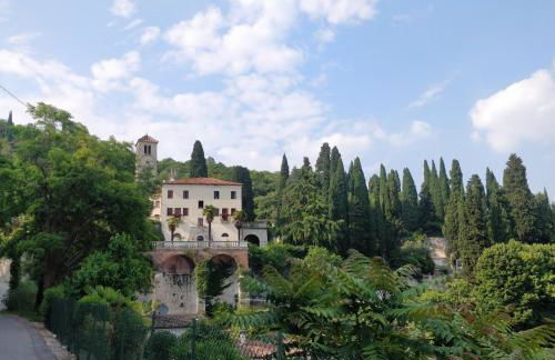 Agriturismo L'Albara - Wines, Pool & SPA - Foto 66