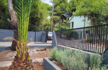 Dilion Guest House - Foto 39