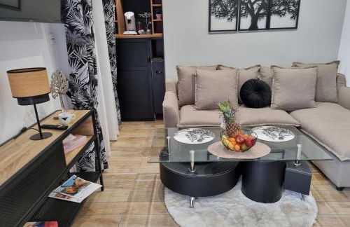 appart du sillon - Foto 12