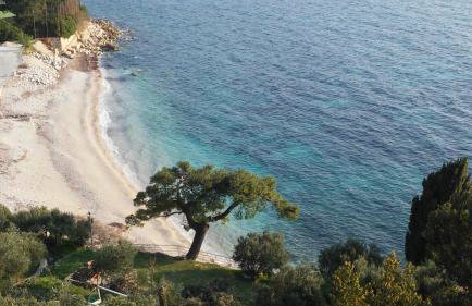 Apartmani Matija - Foto 59