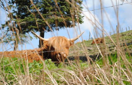 Vakantiehuis Ramsbeck - Foto 49
