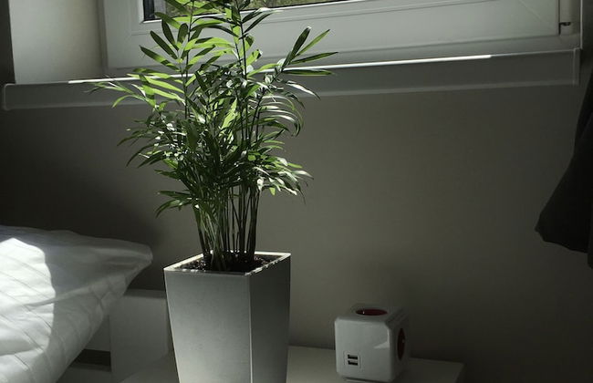 U tří bratrů - Foto 3