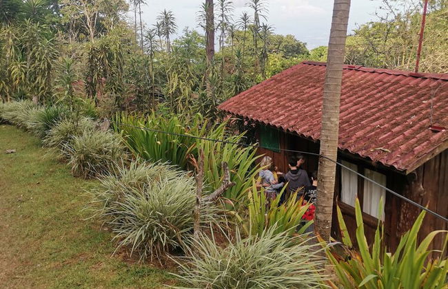 Campos de Oro Wilderness Lodge - Photo 69