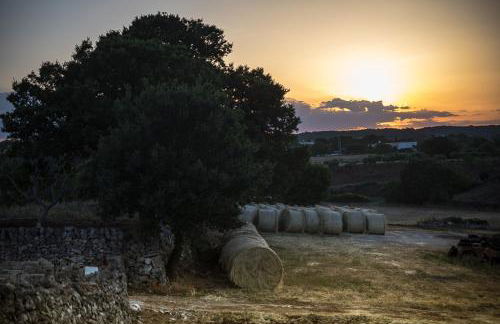 Casa tra i Trulli - Foto 62