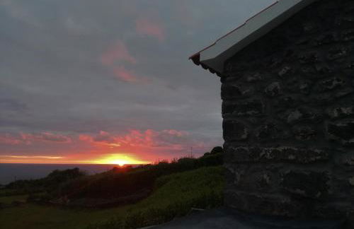 Melo's Place - Photo 33