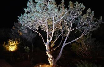 Akra Grammeno Beachfront Villas - Foto 66