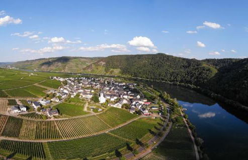 Weingut Johanneshof - Foto 17