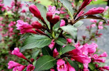 Trzy Stawy - Foto 24