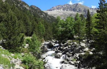 UNIQUE EXPERIENCE - Boí-Taüll Apartment - Foto 33