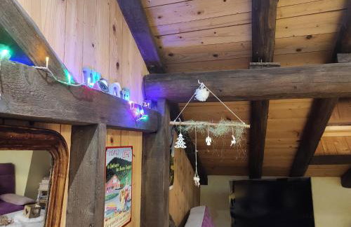 Charmant studio dans ferme avec terrasse et parking - montagnes des Vosges - FR-1-589-164 - Foto 11