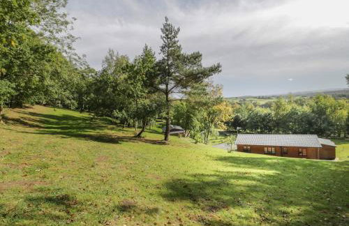 Ryedale Country Lodges - Hazel Lodge - Photo 29