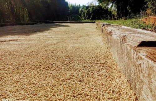 Provencal House in Seillans with Pool - Foto 39